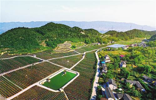 到中梁镇体验“慢生活”