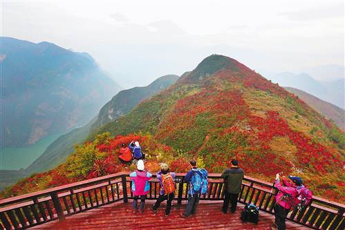 巫山红叶红了