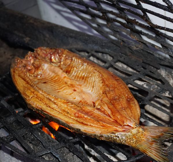 博众地美食之长 独创特别口味烤鱼--巴国烤鱼