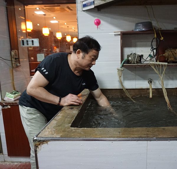 罗氏罗非鱼--三十年来只使用一次性锅底 用诚信和味道征服食客