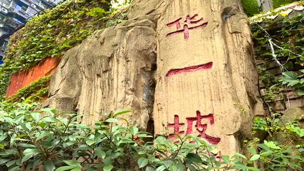 小唐面庄--母城渝中区一家久违的小面味道 小面西施成为网红