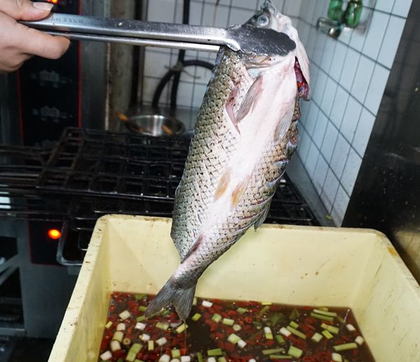 非文化物质遗产 沈姐烤鱼 感受岁月经典 炭火烤出的美味