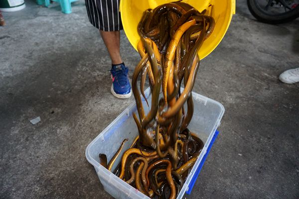 探寻老城味道 梨树湾老字号红炒坊餐厅 主城美食江湖传奇