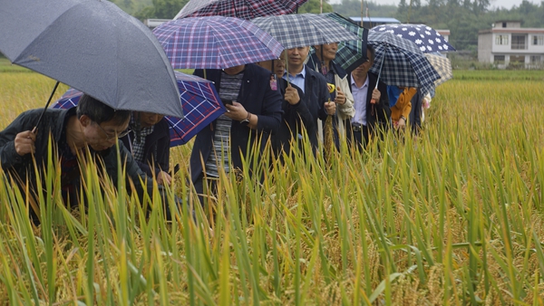 乡村振兴战略暨航天玉米稻现代化发展专题研讨会在渝召开