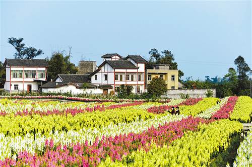 永川：乡村旅游提档升级