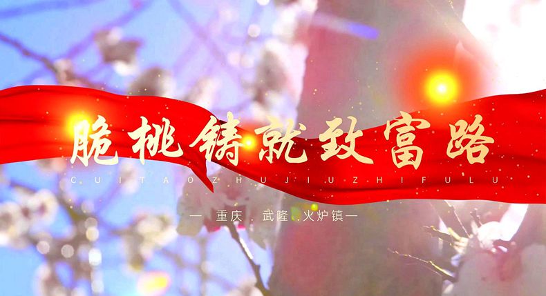 筑梦巴渝 重庆乡村振兴品牌成长计划公益系列宣传——武隆篇（三）