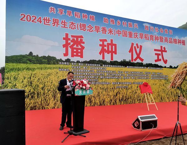 2024《世界生态》锶念旱香米种植播种仪式取得圆满成功